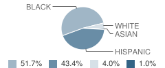 Social Justice Academy Student Race Distribution