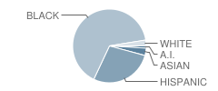 Dorchester Academy Student Race Distribution