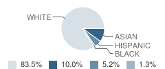 Mccarthy-Towne School Student Race Distribution