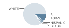 Andover High School Student Race Distribution