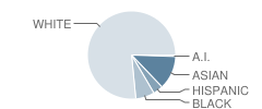 John Glenn Middle School Student Race Distribution