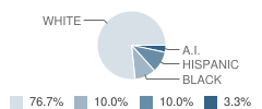 Primavera High School (Junior / Senior) Student Race Distribution