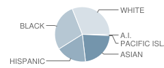 Boston Latin Academy Student Race Distribution