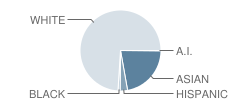 Blanchard Memorial School Student Race Distribution