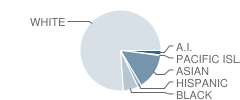 Memorial School Student Race Distribution