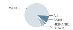Byam School Student Race Distribution