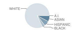 Brookside Elementary School Student Race Distribution