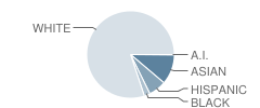 Hemenway School Student Race Distribution