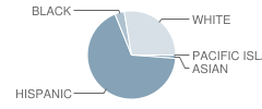 Barbieri Elementary School Student Race Distribution