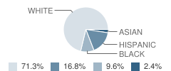 Bennett School Student Race Distribution