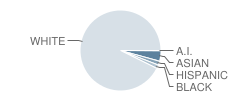 Peter Noyes School Student Race Distribution