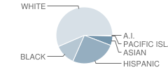 Waltham Sr High School Student Race Distribution