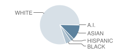 Weston High School Student Race Distribution