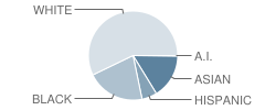 Halethorpe Elementary School Student Race Distribution