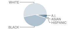 Gale-Bailey Elementary School Student Race Distribution
