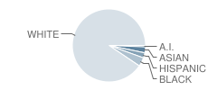 Longfellow School (Brunswick) Student Race Distribution