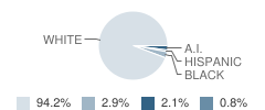 A.d. Johnston High School (Junior / Senior) Student Race Distribution