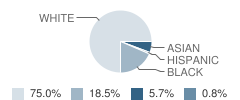 Central Academy (1-12) Student Race Distribution