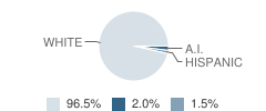 Athens Middle School Student Race Distribution