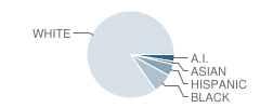 Vern Van Y. School Student Race Distribution