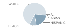 Stoney Creek Elementary School Student Race Distribution