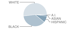 Potter School Student Race Distribution