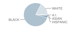 Southwestern Academy Student Race Distribution