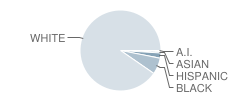 Garden City High School Student Race Distribution