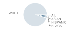 Maple City-Glen Lake High School (Junior / Senior) Student Race Distribution