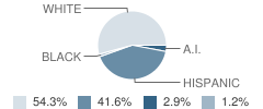 Red Arrow Elementary School Student Race Distribution