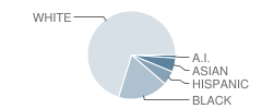 Winchell Elementary School Student Race Distribution