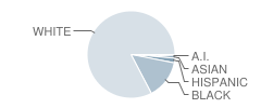 L'anse Creuse High School Student Race Distribution