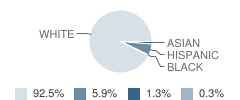 Robert D. Brandon Elementary School Student Race Distribution