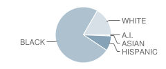 Marquette School Student Race Distribution