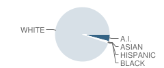 Negaunee Middle School Student Race Distribution