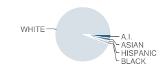 Lakeview School Student Race Distribution
