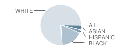 George Defer Elementary School Student Race Distribution