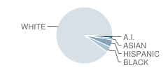Pennfield Central School Student Race Distribution