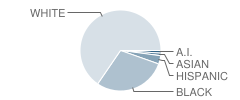 Stuckey Elementary School Student Race Distribution