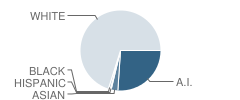 Rudyard High School Student Race Distribution