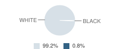 Springport Middle School Student Race Distribution