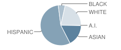 Pine Creek Elementary School Student Race Distribution