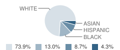 Mason-Lake Independent School District (ISD) Special Education Student Race Distribution