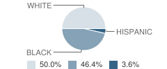 Saginaw Independent School District (ISD) Transitions Center Student Race Distribution
