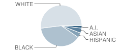 Robbinsdale Transition Center School Student Race Distribution