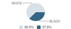 Is the Alternative Program (Tap) School Student Race Distribution