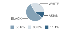Central Middle Alternative (Cmap) School Student Race Distribution