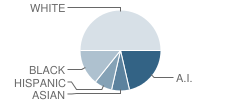 Csec Area Learning Center (Alc) C Ind School Student Race Distribution