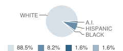 Mn River Valley Area Learning Center (Alc)-Seatbased School Student Race Distribution