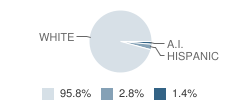 Mn River Valley Area Learning Center (Alc) - Ind. Study School Student Race Distribution
